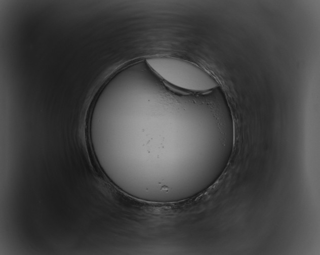 X0000090630147200707171141