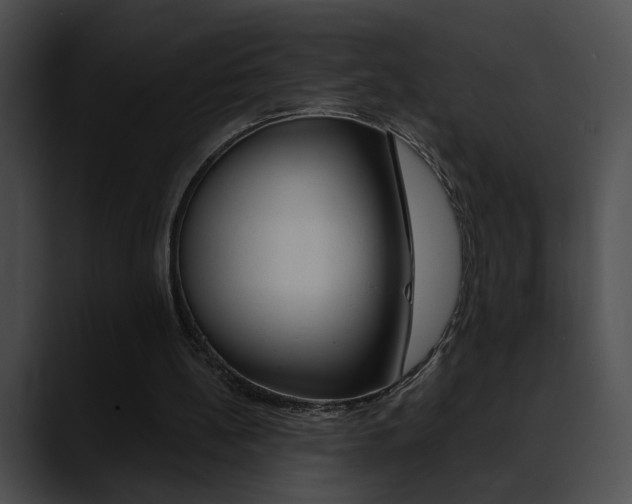 X0000090630148200707171141