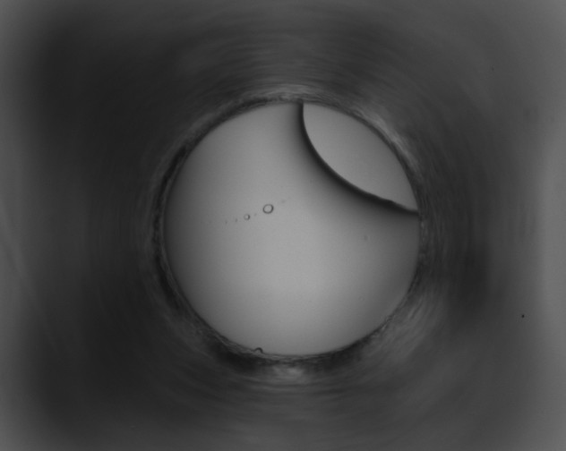 X0000090630159200707171141