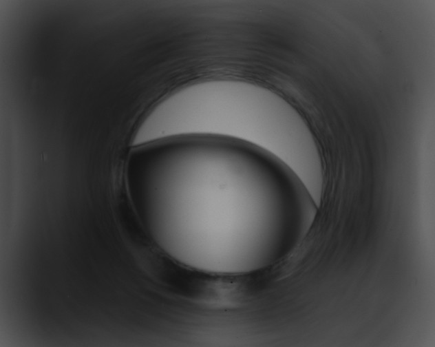 X0000090630168200707171141