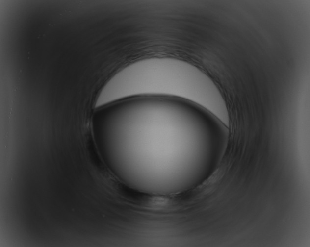 X0000090630176200707171141