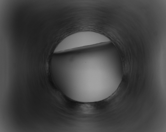 X0000090630183200707171141