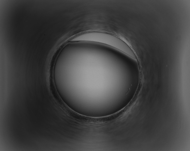 X0000090630199200707171141