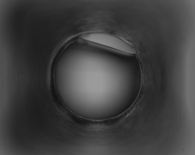 X0000090630200200707171141