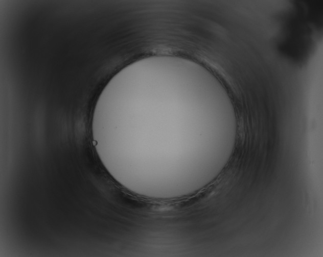 X0000090630208200707171141
