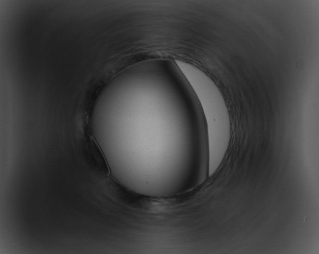 X0000090630229200707171141