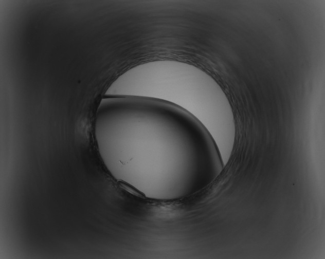X0000090630235200707171141
