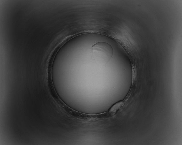 X0000090630243200707171140