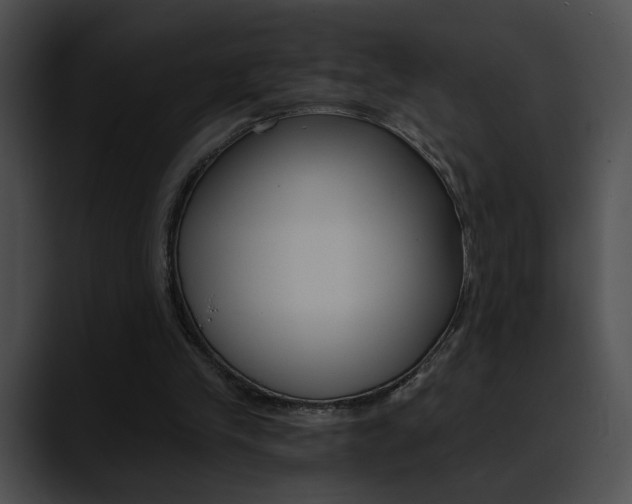 X0000090630245200707171140