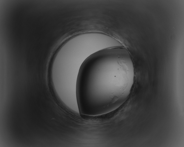 X0000090630248200707171140
