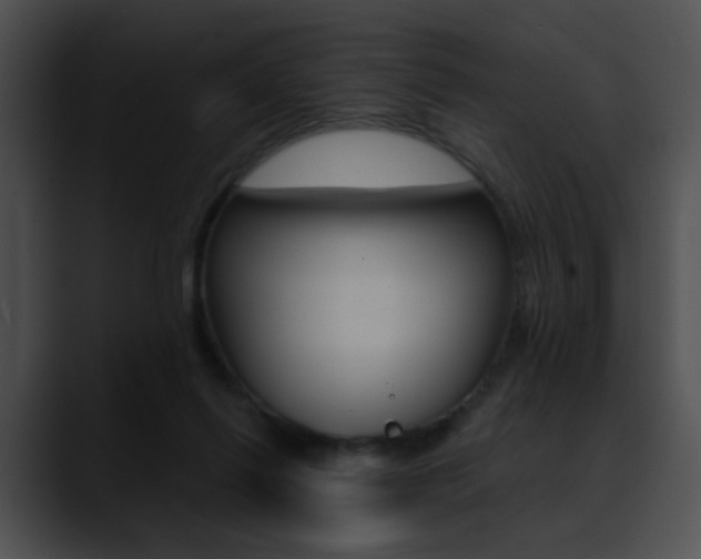 X0000090630262200707171140