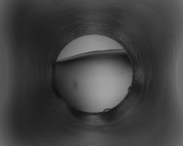 X0000090630283200707171140