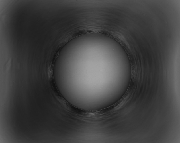 X0000090630285200707171140