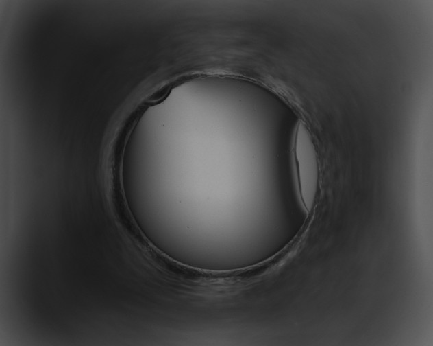 X0000090630295200707171140