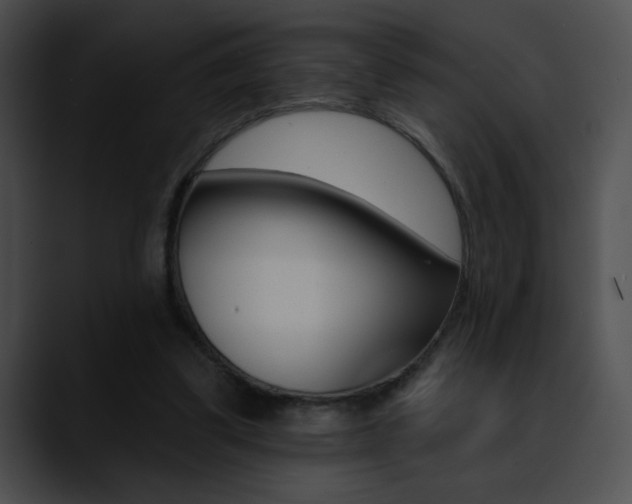 X0000090630299200707171140