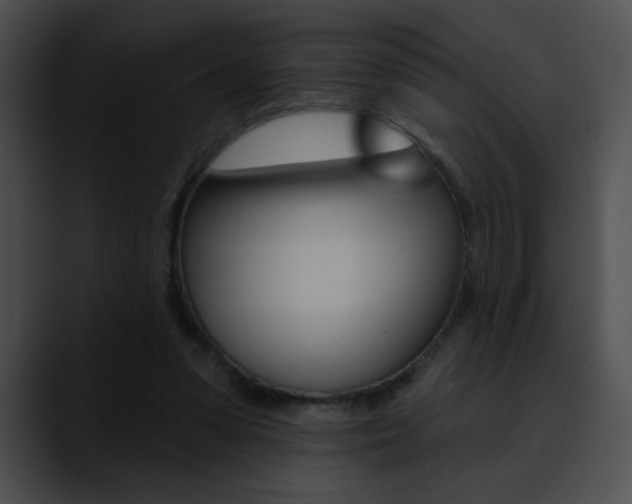X0000090630303200707171140
