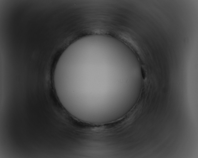X0000090630306200707171140