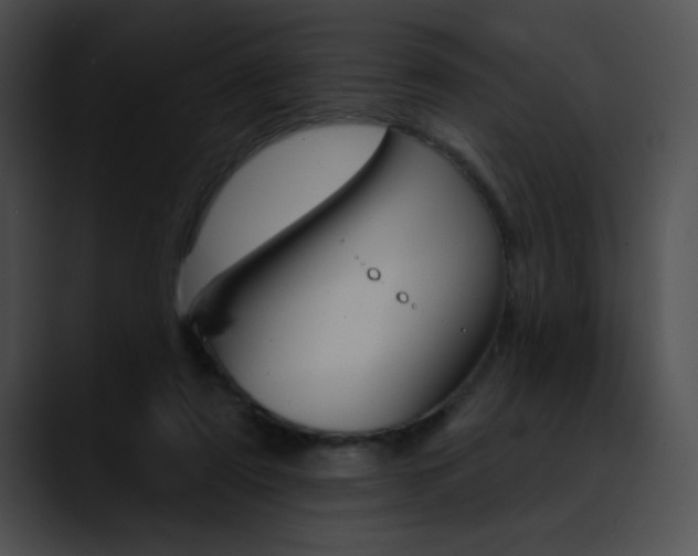 X0000090630307200707171140