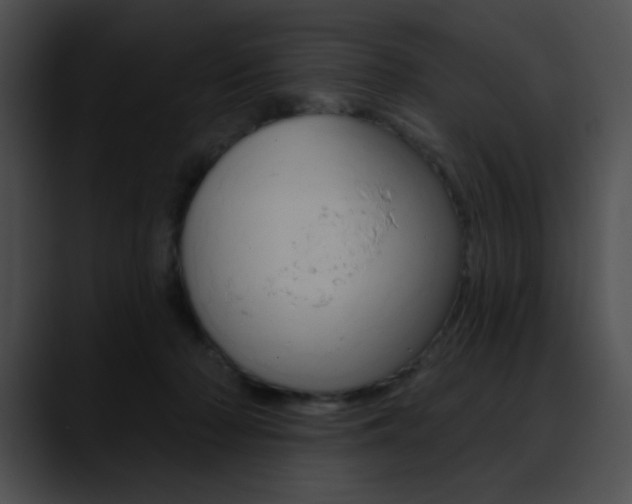 X0000090630318200707171140
