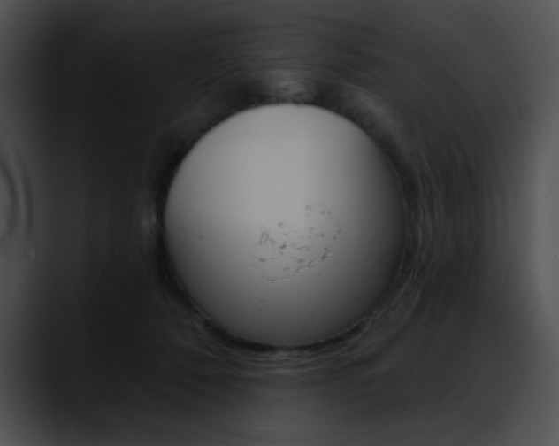 X0000090630320200707171140