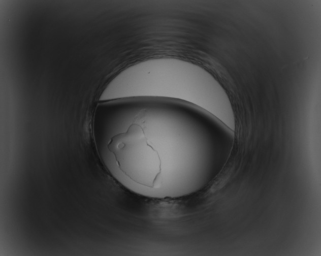 X0000090630329200707171139