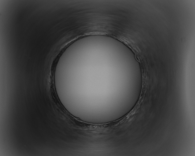 X0000090630338200707171139