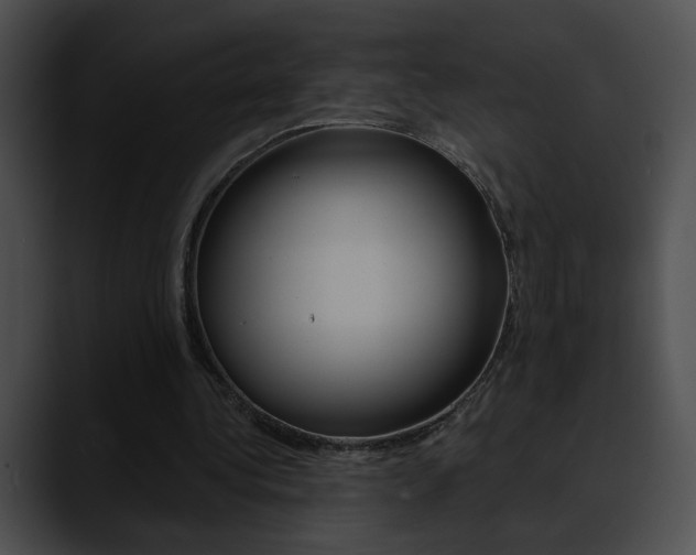 X0000090630340200707171139