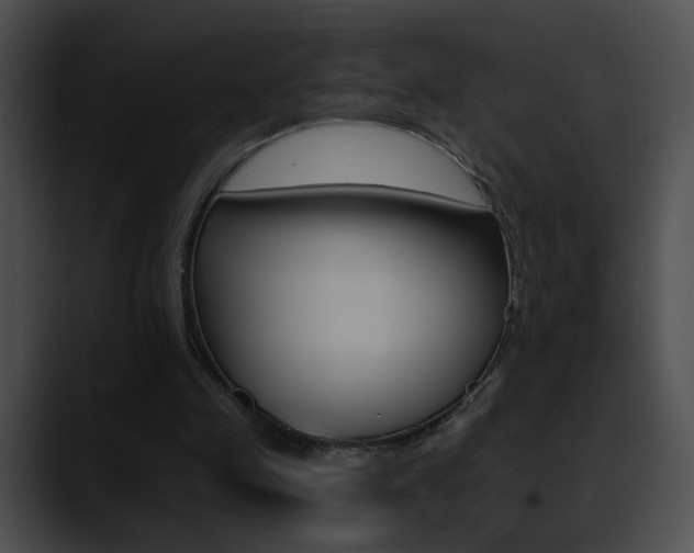 X0000090630341200707171139
