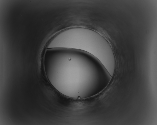 X0000090630344200707171139