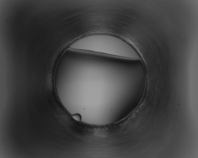 X0000090630345200707171139