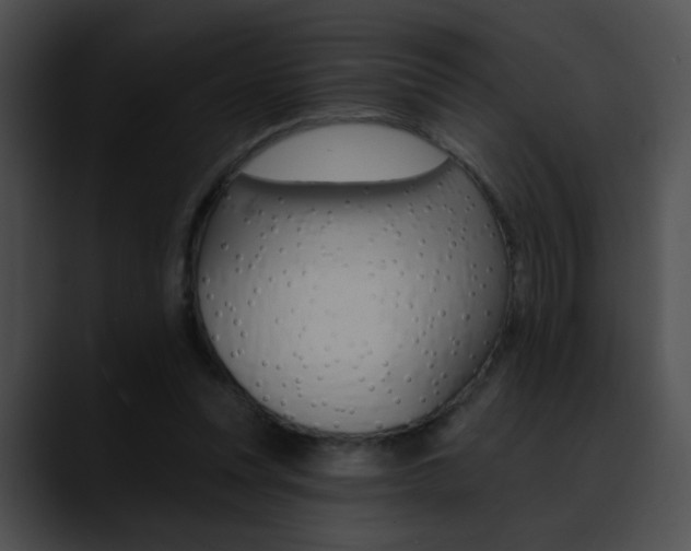 X0000090630351200707171139
