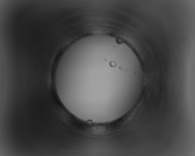 X0000090630353200707171139