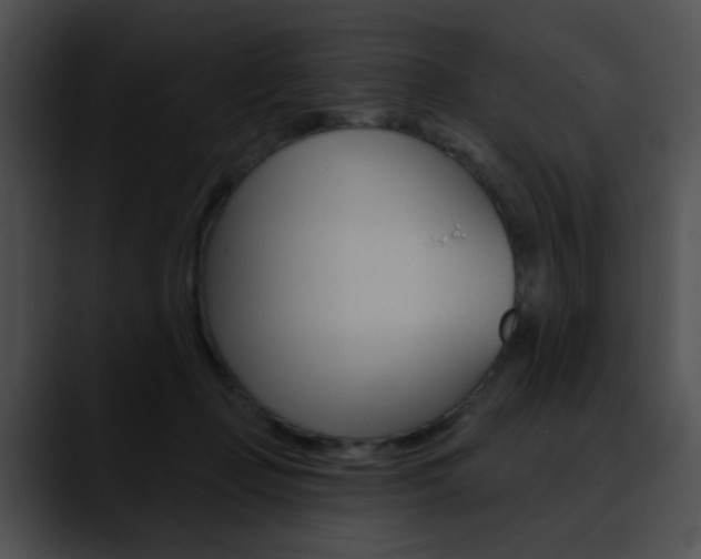 X0000090630365200707171139