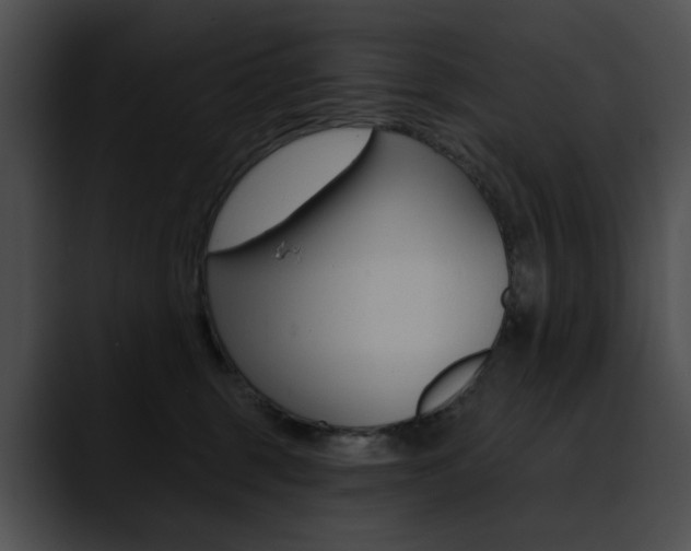X0000090630375200707171139
