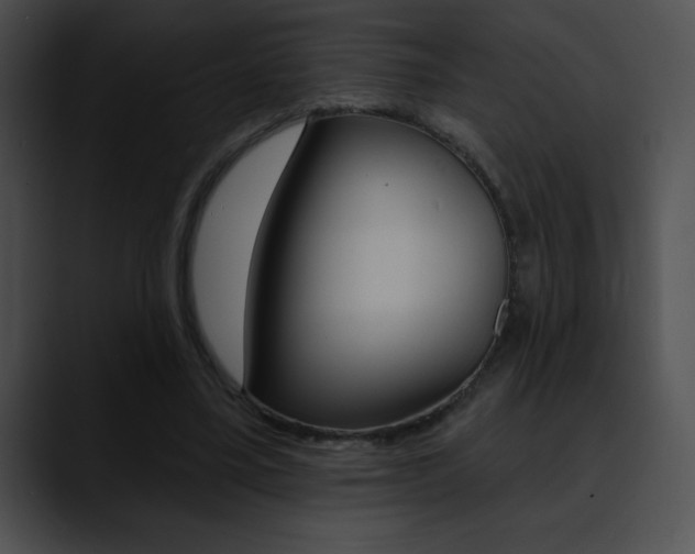 X0000090630395200707171139