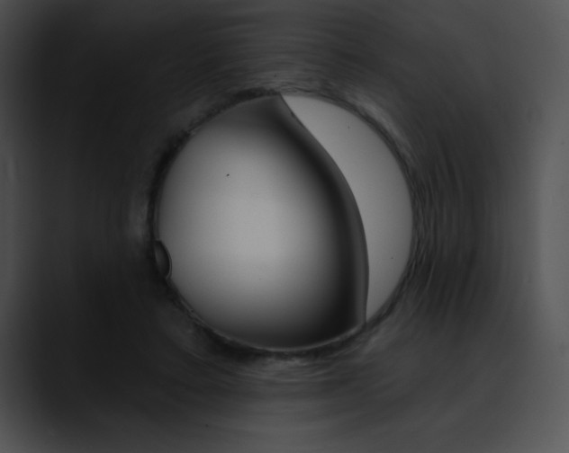 X0000090630403200707171139