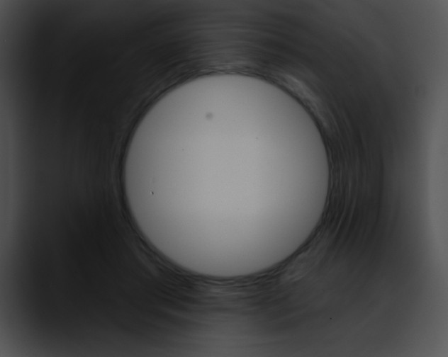X0000090630405200707171139