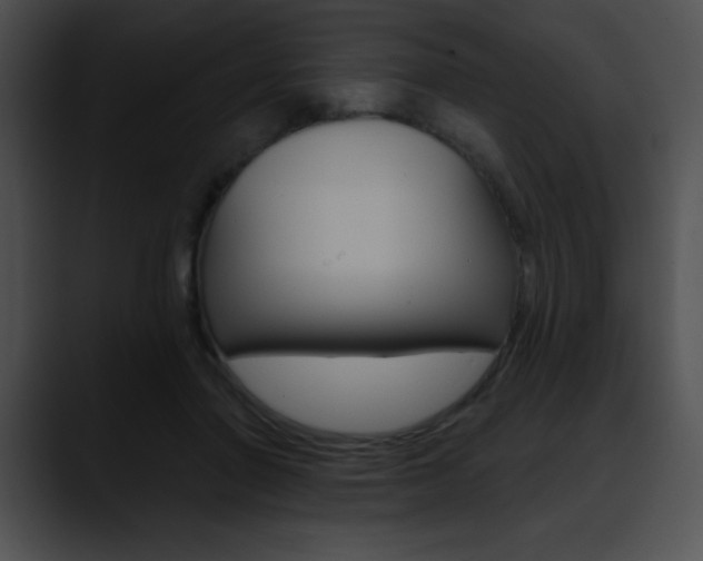 X0000090630406200707171139