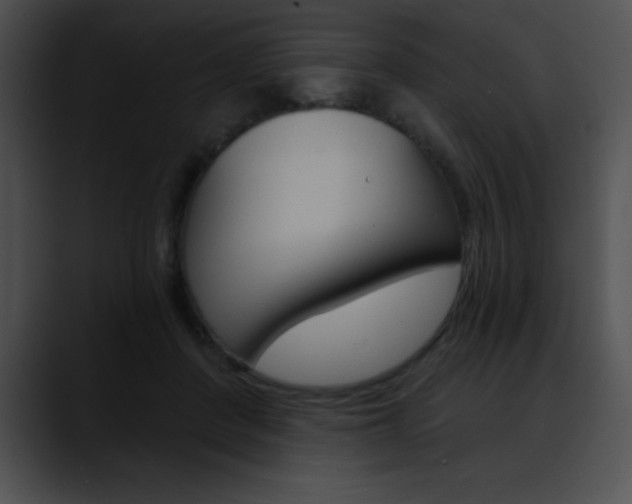 X0000090630408200707171138