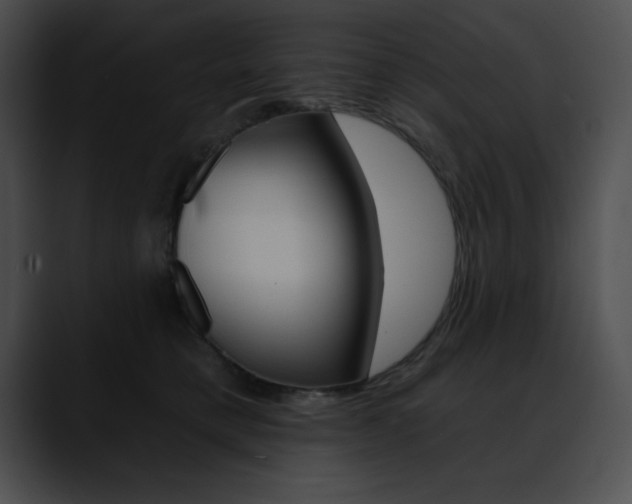 X0000090630421200707171138