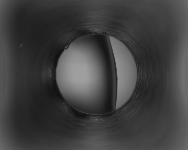 X0000090630424200707171138