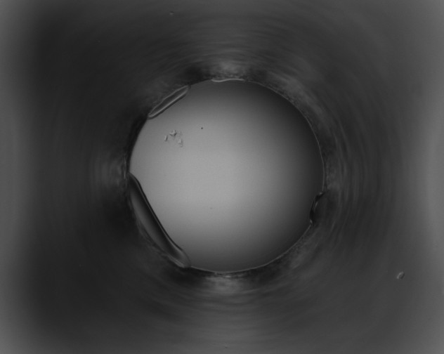X0000090630425200707171138