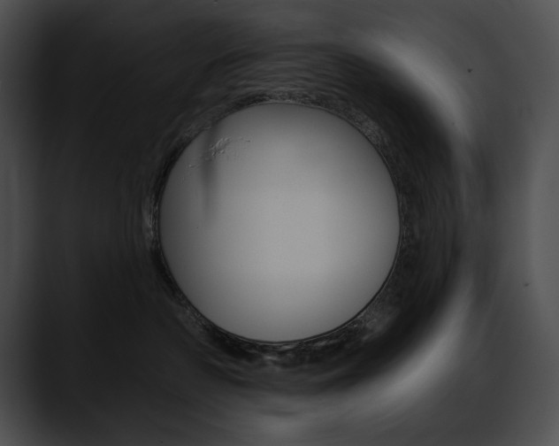 X0000090630430200707171138