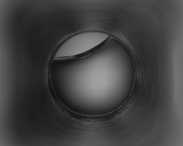 X0000090630434200707171138