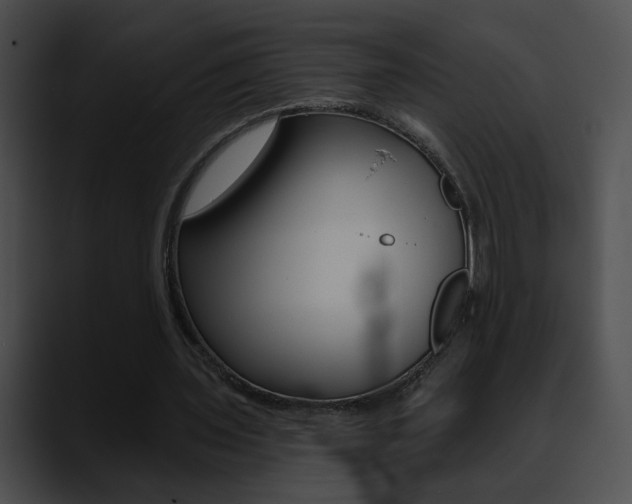 X0000090630435200707171138