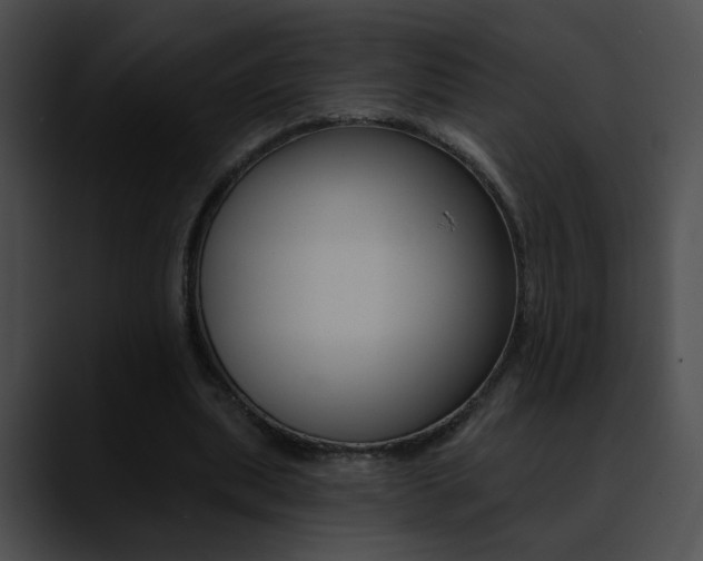 X0000090630439200707171138