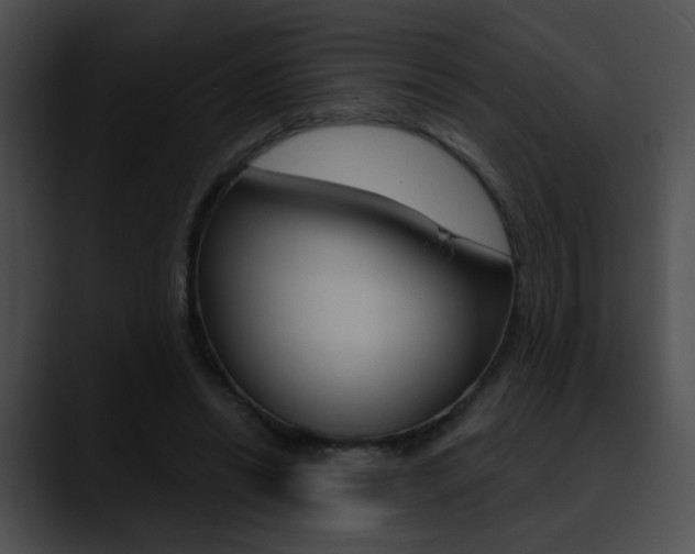 X0000090630446200707171138