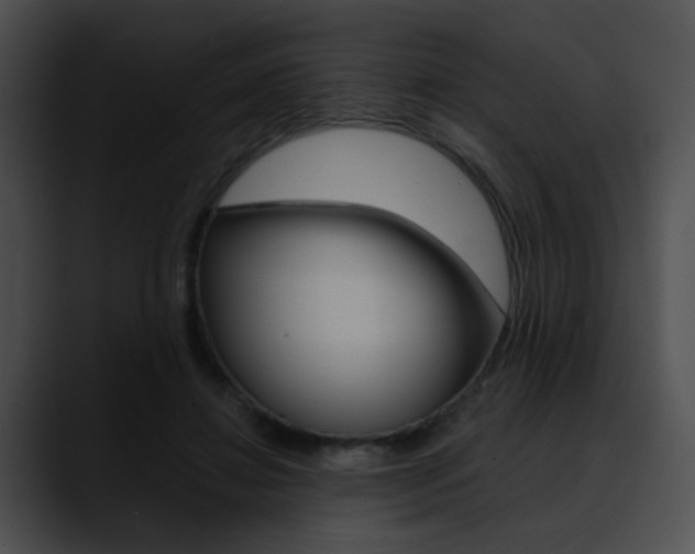 X0000090630452200707171138