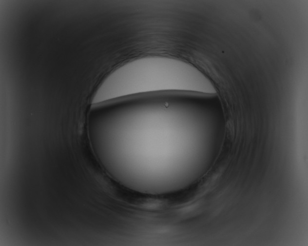 X0000090630458200707171138