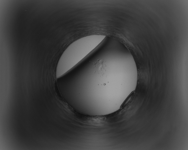 X0000090630479200707171138